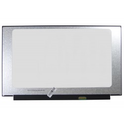 Display LCD Schermo 15,6 Led Compatibile con B156HAN02.4
